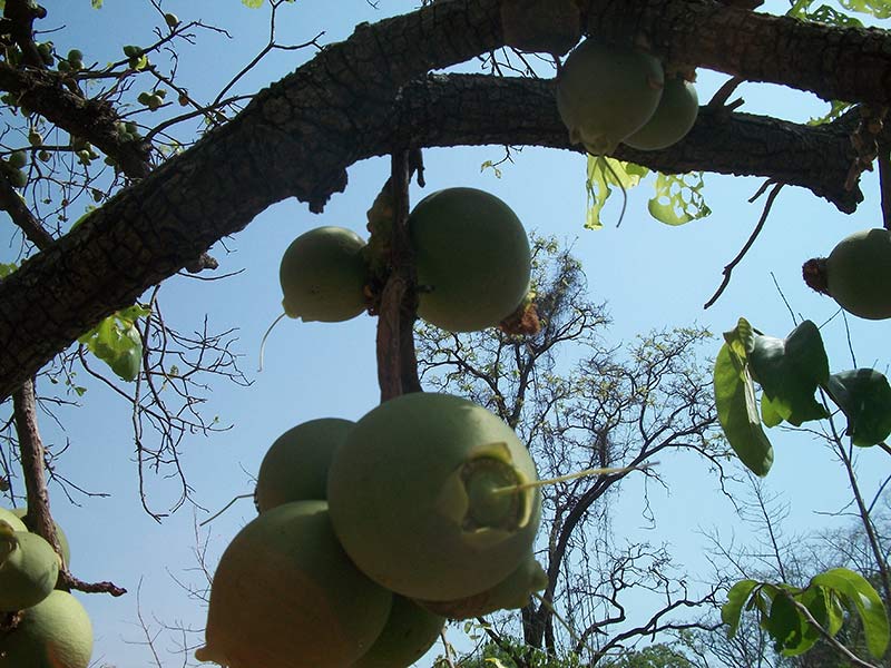 img1